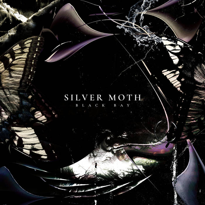 Silver Moth - Black Bay 