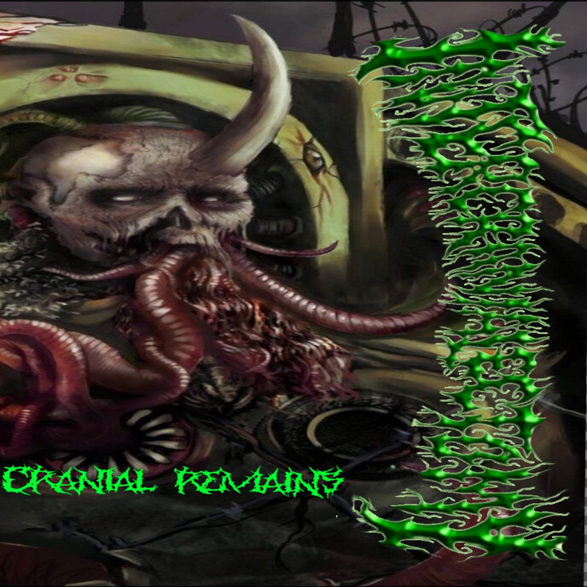 Intercranialectomy - Cranial Remains 01